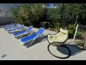 Apartmaji Olive Garden - swimming pool: A1(4), A2(4), A3(4), SA4(2), SA5(2) Biograd - Riviera Biograd  - vrt