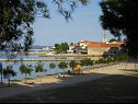Apartmaji Renato - 150 m from beach: A1(2+2), A2(2+2) Sveti Filip i Jakov - Riviera Biograd  - plaža