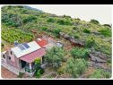 Hiša za počitnice Smokovlje - sea view and vineyard H(4) Bol - Otok Brač  - Hrvaška  - podrobnost (hiša in okolica)