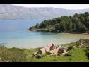 Hiša za počitnice Lidija - Robinson House: H(2+2) Zaliv Lovrečina (Postira) - Otok Brač  - Hrvaška  - plaža