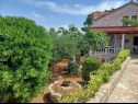 Hiša za počitnice Lumos - panoramic view & olive garden: H(10) Postira - Otok Brač  - Hrvaška  - zelenje