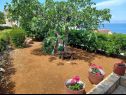 Hiša za počitnice Lumos - panoramic view & olive garden: H(10) Postira - Otok Brač  - Hrvaška  - vrt