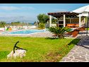Hiša za počitnice Ivan - open pool: H(6+4) Supetar - Otok Brač  - Hrvaška  - vrt