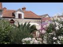 Hiša za počitnice Davor - relaxing and great location house : H(7+2) Sutivan - Otok Brač  - Hrvaška  - hiša