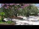 Apartmaji Ljuba - nice garden: A2(4+1) Plavi, A4(8+1), A1(2+2) Okrug Gornji - Otok Čiovo  - cvetlični nasad (hiša in okolica)