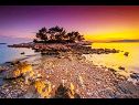 Hiša za počitnice Zdravko - sea view & peaceful nature: H(10+3) Brsečine - Riviera Dubrovnik  - Hrvaška  - plaža