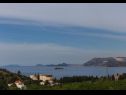 Apartmaji Ante - with pool: A1(6+2), SA2(2), A3(2+2), SA4(2) Cavtat - Riviera Dubrovnik  - rastlinje