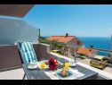Apartmaji Stane - modern & fully equipped: A1(2+2), A2(2+1), A3(2+1), A4(4+1) Cavtat - Riviera Dubrovnik  - Apartma - A3(2+1): pogled s terase