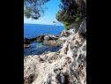 Apartmaji Ana - cosy with sea view : A4(3+2), A5(3+2) Dubrovnik - Riviera Dubrovnik  - plaža