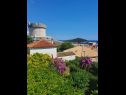 Sobe Garden - with a view: R1(2) Dubrovnik - Riviera Dubrovnik  - pogled (hiša in okolica)