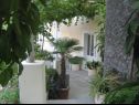 Hiša za počitnice Villa Marija - terrace H(6) Trsteno - Riviera Dubrovnik  - Hrvaška  - dvorišče (hiša in okolica)