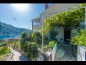 Apartmaji Gordana A1(4) Zaton (Dubrovnik) - Riviera Dubrovnik  - dvorišče