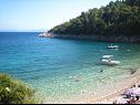 Hiša za počitnice Josip - private swimming pool: H(2+2) Labin - Istra  - Hrvaška  - plaža