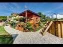 Hiša za počitnice Barbara - perfect holiday: H(5) Umag - Istra  - Hrvaška  - dvorišče (hiša in okolica)