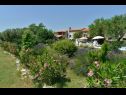 Hiša za počitnice Gurianum - with pool: H(8) Vodnjan - Istra  - Hrvaška  - cvetlični nasad (hiša in okolica)