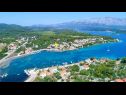 Apartmaji Sunny - 50 m from sea: A2(4) Lumbarda - Otok Korčula  - rastlinje (hiša in okolica)