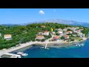 Apartmaji Sunny - 50 m from sea: A2(4) Lumbarda - Otok Korčula  - rastlinje (hiša in okolica)