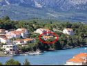 Apartmaji Rud - 15 m from sea: A1(2+1), A2(2+1), A3(2+1) Lumbarda - Otok Korčula  - rastlinje (hiša in okolica)
