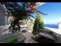 Hiša za počitnice Doria - perfect location & peaceful: H(3+1) Zaliv Stiniva (Vela Luka) - Otok Korčula  - Hrvaška  - dvorišče