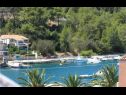 Apartmaji Niks - terrace & sea view: A1(4), A2(2) Vela Luka - Otok Korčula  - pogled (hiša in okolica)