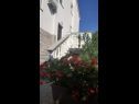 Apartmaji Dorica - flower garden A1(4) Krk - Otok Krk  - hiša