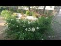 Apartmaji Dorica - flower garden A1(4) Krk - Otok Krk  - vrt