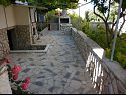 Apartmaji Tonia - great location & afordable: A1(4+1), SA2(2) Mali Lošinj - Otok Lošinj  - raženj (hiša in okolica)