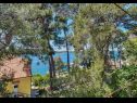 Apartmaji Pero - 80 m from sea: A1(6), A2(2), A3(2) Mali Lošinj - Otok Lošinj  - Apartma - A3(2): pogled s terase