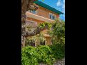 Apartmaji Giuseppe - green terrace: A1(4) Mali Lošinj - Otok Lošinj  - hiša