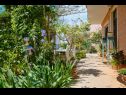 Apartmaji Giuseppe - green terrace: A1(4) Mali Lošinj - Otok Lošinj  - dvorišče