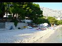 Apartmaji Toni - 150m from pebble beach: A1 veliki (5) Baška Voda - Riviera Makarska  - plaža