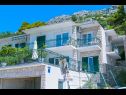 Apartmaji Robert - sea view : A1(4+1), A2(4+2) Brela - Riviera Makarska  - hiša