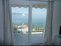 Apartmaji Kate - 20m from the beach: A1(2+2), A2(2+2) Brist - Riviera Makarska  - Apartma - A2(2+2): terasa