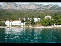 Apartmaji Bale - right at the beach: A1 Plaza(4) Brist - Riviera Makarska  - hiša