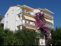 Apartmaji Kate - 20m from the beach: A1(2+2), A2(2+2) Brist - Riviera Makarska  - hiša