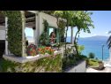 Apartmaji Sea View - cosy & comfortable: A2 Zaborke(4), A4 Somina(2+2) Brist - Riviera Makarska  - hiša