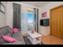 Apartmaji Ivi - 100 m from pebble beach: A1(2+2), A2(2+2), A3(2+2), A4(4+4), A5(2+2) Drašnice - Riviera Makarska  - Apartma - A1(2+2): dnevna soba