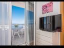 Apartmaji Ivi - 100 m from pebble beach: A1(2+2), A2(2+2), A3(2+2), A4(4+4), A5(2+2) Drašnice - Riviera Makarska  - Apartma - A1(2+2): balkon