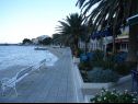 Apartmaji Graci - 20 m from pebble beach: A1(4) Gradac - Riviera Makarska  - plaža
