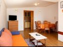 Apartmaji Biljana - 150m from beach: A1(2+1), A2(2+2), A3(5), A4(2+2) Gradac - Riviera Makarska  - Apartma - A4(2+2): dnevna soba