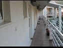 Apartmaji Boro - sea view SA1(3), SA2(3), SA3(3) Dugi Rat - Riviera Omiš  - terasa