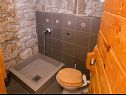 Hiša za počitnice Mario - with pool: H(6+2) Gata - Riviera Omiš  - Hrvaška  - H(6+2): kopalnica s straniščem