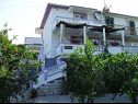 Apartmaji Pavilion - beautiful garden & comfortable: A1(5) Kampor - Otok Rab  - hiša