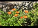 Apartmaji Rosemary - gorgeous garden : A1(4+1), A2(4+1) Rogoznica - Riviera Šibenik  - cvetlični nasad