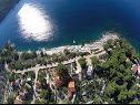 Hiša za počitnice Ana - 30 m from beach : H(4) Maslinica - Otok Šolta  - Hrvaška  - hiša
