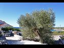 Hiša za počitnice Željko - sea view H(4+2) Drvenik Mali (Otok Drvenik Mali) - Riviera Trogir  - Hrvaška  - podrobnost (hiša in okolica)