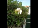 Hiša za počitnice Villa Linda - big terraces: H(5+2) Seget Vranjica - Riviera Trogir  - Hrvaška  - dvorišče