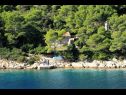 Hiša za počitnice Dob - 5m from the sea: H(4) Zaliv Stončica (Vis) - Otok Vis  - Hrvaška  - hiša
