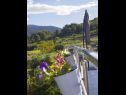 Apartmaji Filip - vineyard and large terrace: SA1 žuti(2), SA2 rozi(2) Vis - Otok Vis  - pogled