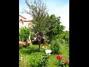 Apartmaji Nika - nice garden: A1(2), A2(4+1), A3(6), A4(2) Nin - Riviera Zadar  - vrt (hiša in okolica)